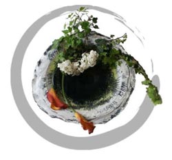 Corso di Ikebana